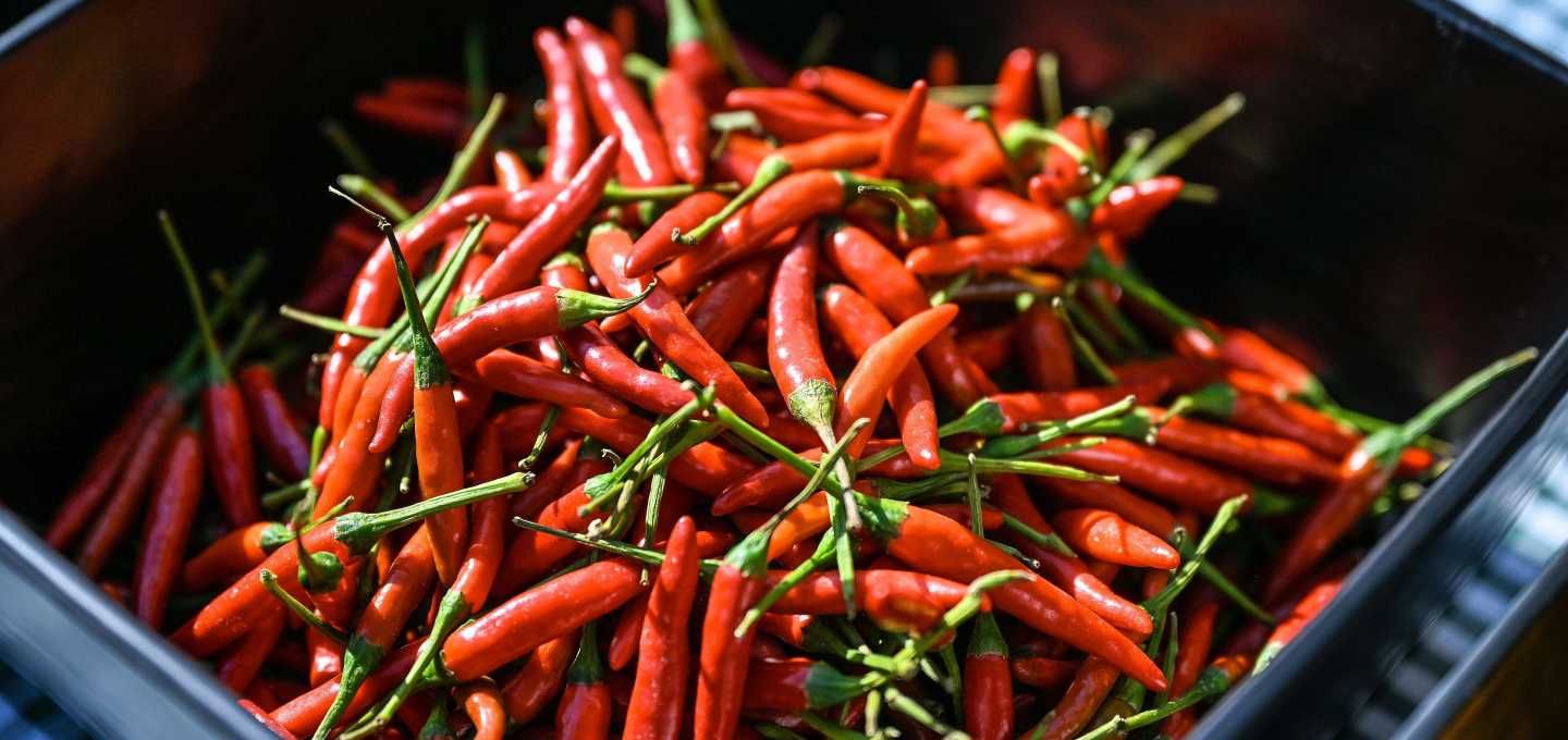 Peklo na Obilňáku aneb CHILLI CHALLENGE BRNO 2025